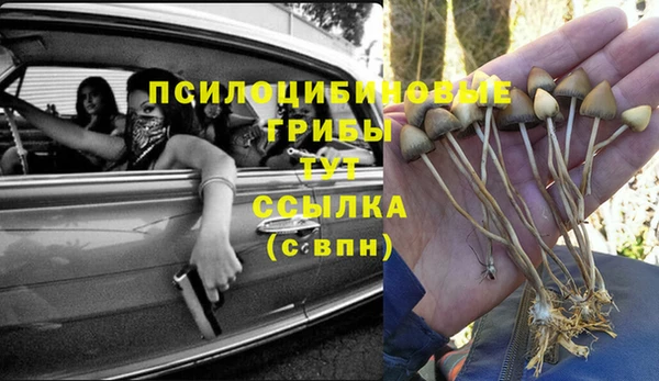 mix Надым