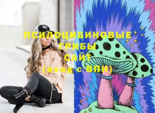 mix Надым